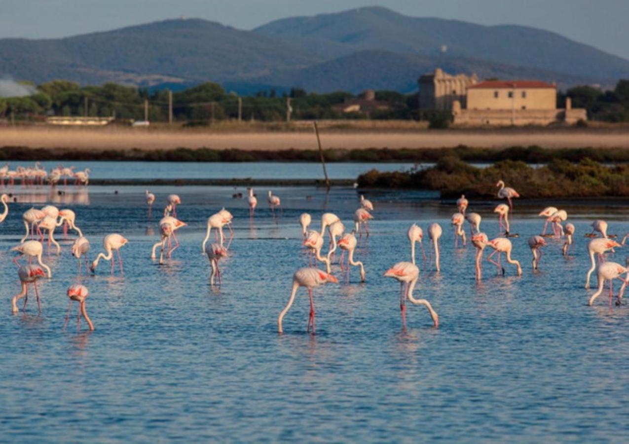 Affittacamere Orbetello Centro Extérieur photo